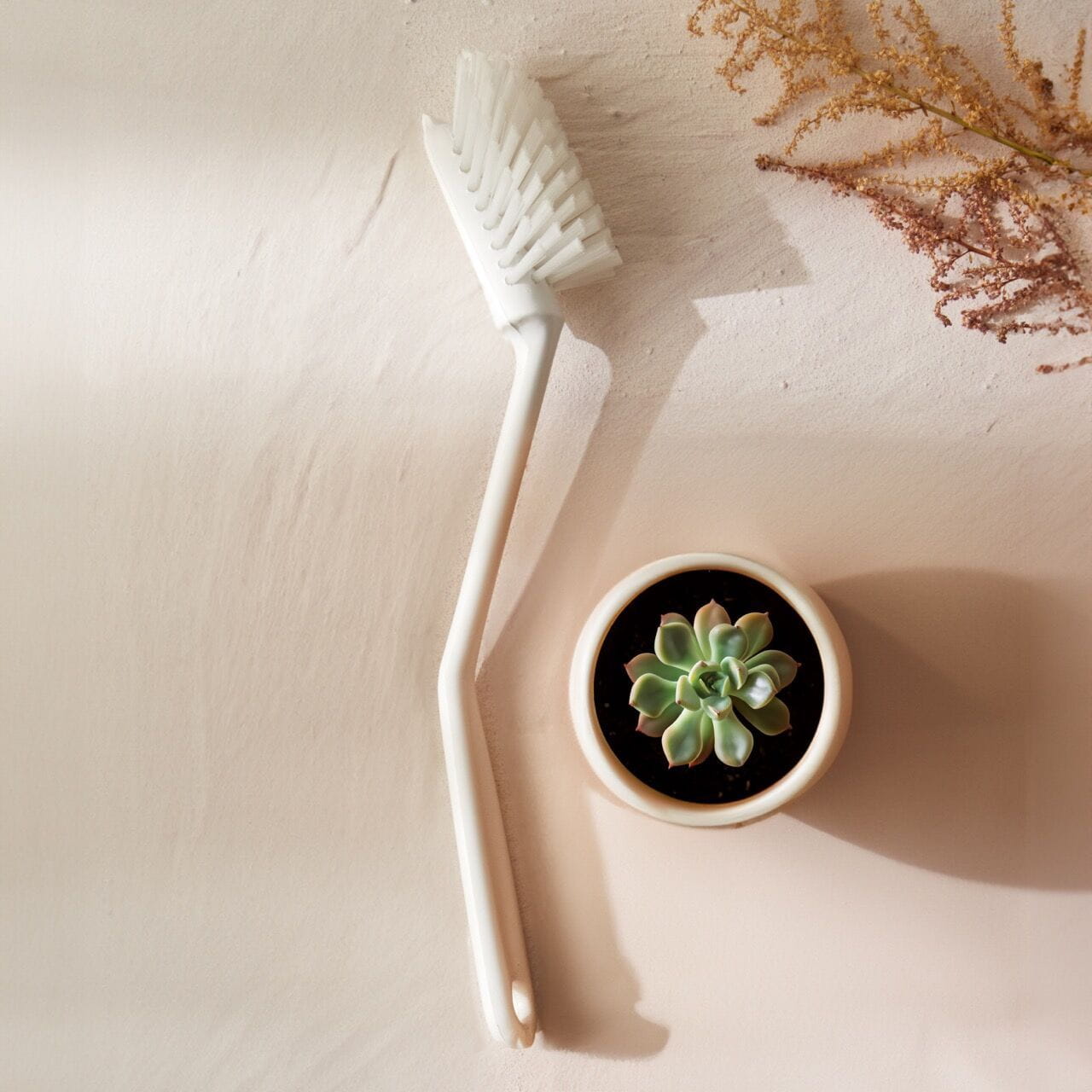 Photo de la Brosse Sanitaires H2O at Home