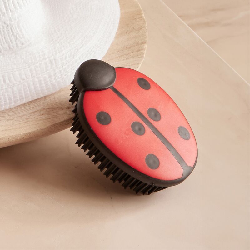 Produit Brosse Coccinelle Picot Image