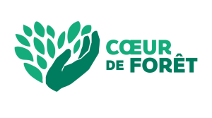 Notre partenaire Cœur de forêt